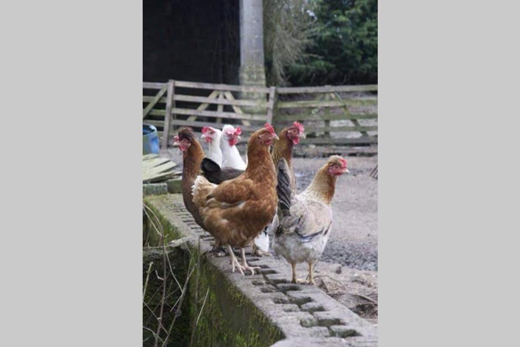 Stones Cottage Farm, Nr Haworth, Family Friendly, Work Friendly, Gaming Barn, Crafting, Free Wifi, Free Parking, Ev Point Oxenhope 外观 照片