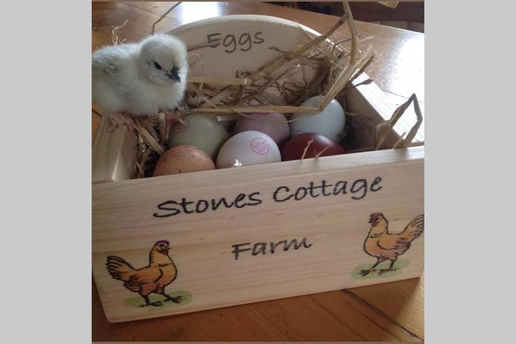 Stones Cottage Farm, Nr Haworth, Family Friendly, Work Friendly, Gaming Barn, Crafting, Free Wifi, Free Parking, Ev Point Oxenhope 外观 照片